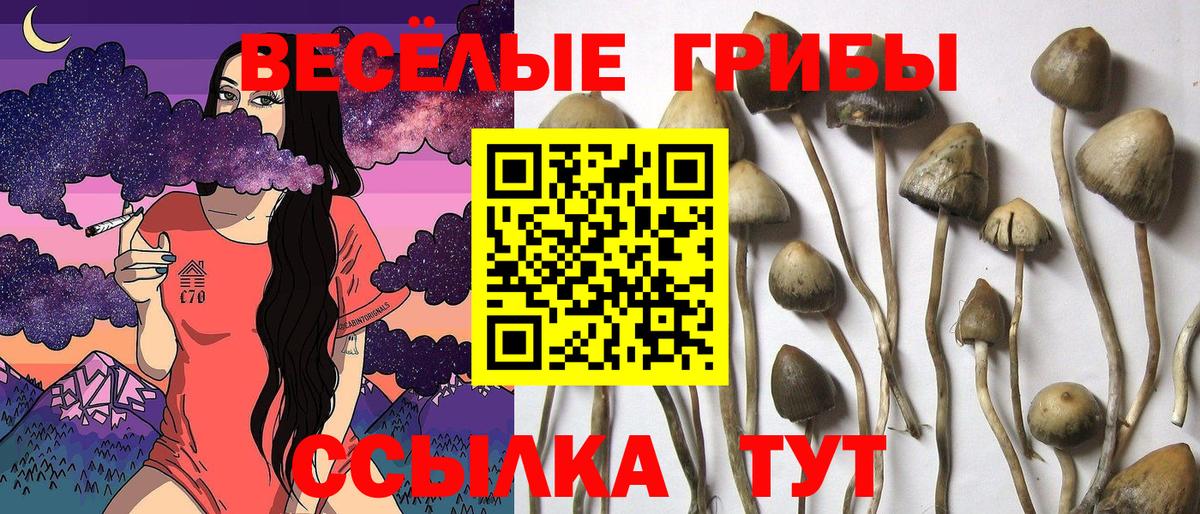 Галлюциногенные грибы Psilocybine cubensis Верхняя Салда