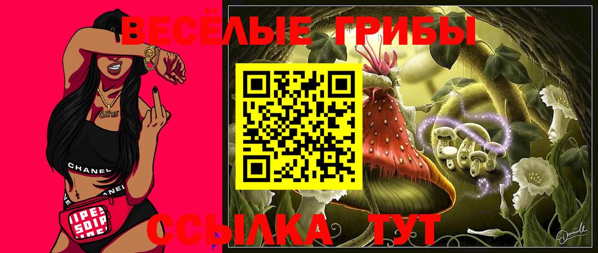 Верхняя Салда  Псилоцибиновые грибы Psilocybine cubensis  Вход с VPN  где купить   Галлюциногенные грибы мухоморы 